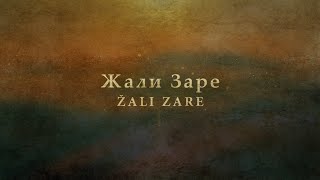 Žali Zare  Serbian Song [upl. by Anedal]