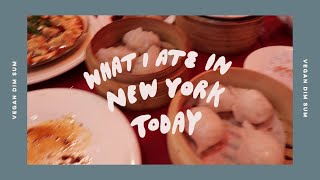 Found Vegan Dim Sum in NYC  Daily Vlog No 22 [upl. by Paddie423]