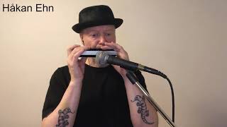 Albatross  Harmonica  Peter GreenFleetwood Mac cover [upl. by Gabby]