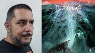 BORKNAGAR  Fall comentario reseña es UN DIEZ [upl. by Dranreb]