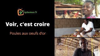 Voir cest croire  Poules 🐔 aux oeufs 🥚d’or [upl. by Ssur]