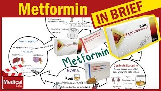 Metformin 500 mg  Glucophage  Uses Dosage Side Effects Contraindications and Some Advice [upl. by Htebirol]