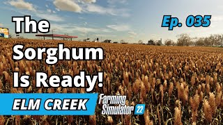 The Sorghum Harvest Begins  Elm Creek EP 035  Farming Simulator 22  FS22 [upl. by Haliak]