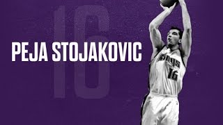 Peja Stojaković  In the zone Career mix [upl. by Dottie]