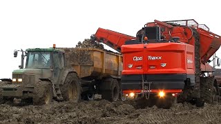 Bieten oogst Stuck in the mud Agrifac Hexxact Opti Traxx Loonb Voshart amp Veltman [upl. by Trammel]