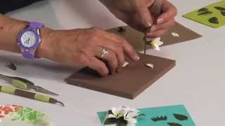 How to Use Sizzix Stephanotis Flower Die [upl. by Neitsirhc]