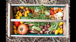 Seasonal vegetables Vegetables of April [upl. by Opportuna]