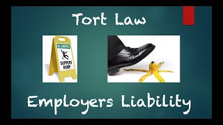 Tort Law  Employers Liability Flowchart [upl. by Edison]