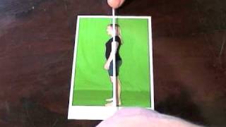 Using a plumb line for postural analysis [upl. by Mcculloch248]