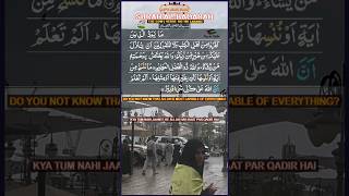 Surah Al Baqarah  Ayat 105  106  Arabic letslearnislam islam shorts viral trending quran [upl. by Ongun]