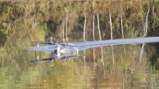 ElectriFly Grumman G44 Widgeon Maiden Flight [upl. by Sirromal]