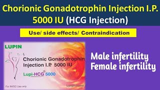 What is HCG  Human Chorionic Gonadotropin [upl. by Htebesile]