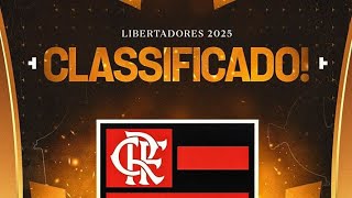 Flamengo classificado para libertadores 2025 [upl. by Plante]