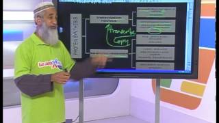 Revision DNA RNA amp Meiosis  Grade 12 Life Science [upl. by Anibas]