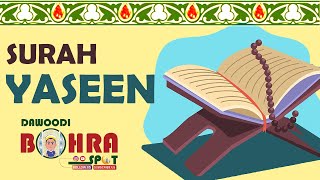 SURAH YASEEN  QURAN SURAH  DAWOODI BOHRA SURAH  FAJAR NAMAZ BAAD QURAN SURAH  JAMEA  RECITATION [upl. by Steinberg]