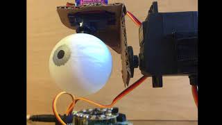 Animatronic Eyeball Darting Demo adafruit johnedgarpark adafruit [upl. by Ahras174]