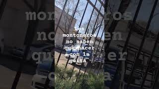 Los montoneros no saben qué hacer con la guita [upl. by Mercuri]