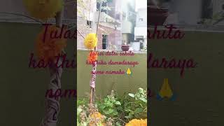 karthika pournami puja  tulasi datri puja  daily vlog [upl. by Mientao]