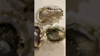 Yummy Fresh Oyster bisdak fishing oysterlover oyster [upl. by Eyllib]