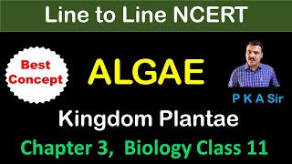 Chapter 3 Kingdom Plantae  Alage  class 11 biology chapter 3  Line to line biology [upl. by Olympe]