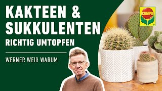 Kakteen und Sukkulenten richtig umtopfen [upl. by Chilson463]