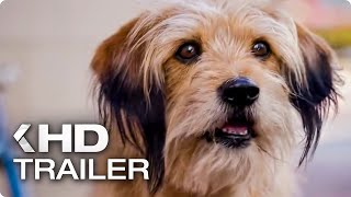 BENJI Teaser Trailer 2018 Netflix [upl. by Eiramyma]