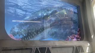 Universal Studios HollywoodJurassic WorldThe Ride [upl. by Salim]