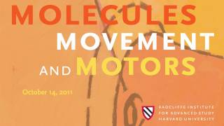 Molecules Movement and Motors Anna C Balazs and Larry SB Goldstein  Radcliffe Institute [upl. by Karlen]