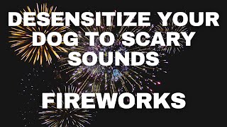 Dog Desensitization Sounds for Dogs amp Puppies Fireworks [upl. by Astrahan357]