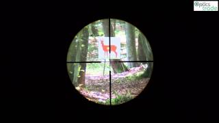 Minox ZV 39x50 reticle BDC subtensions [upl. by Ihculo108]