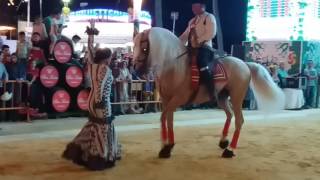 Caballos bailando Sevillanas en la feria de Sanlúcar de Barrameda [upl. by Bithia]