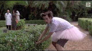 Ace Ventura Pet Detective 610 Best Movie Quote  Victory Dance 1994 [upl. by Eillom]