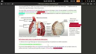 physiologie respiratoire mécanique ventilatoire [upl. by Adnaluy539]