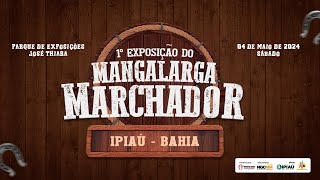 1ª EXPOSIÇÃO DO MANGALARGA MARCHADOR EM IPIAÚ  BA  0405 [upl. by Oppen973]