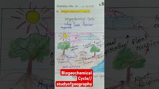 Biogeochemical Cycle Geographyviralvideo shortsvideo shortsshort [upl. by Aloke]