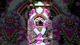 Jay jagannath swami Nayana patha gami vabah tume jagannath bhajan shorts [upl. by Eilesor717]