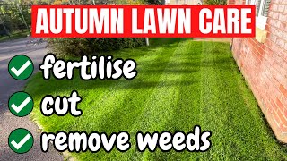 Everything You Need To Do To Your Lawn This Autumn  Cutting Fertilising and Removing Weeds [upl. by Previdi696]