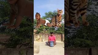 Flying crying babies Catching vs parrot ampsquirrel vs sweet Funny vfx magic techboylaxmi [upl. by Adile]