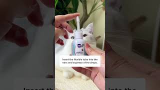 How to Clean Cats Ears With This Trick [upl. by Oiled741]