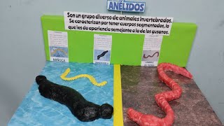 Maqueta de los ANÉLIDOS [upl. by Laro]