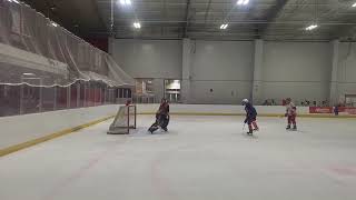 Hockey Goal Slow Motion [upl. by Audy]