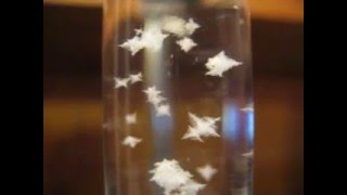 Ammonium Chloride Crystallization [upl. by Je]