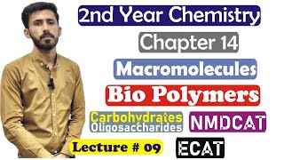 2nd Year Chemistry Chapter 14 Macromolecules Biopolymers Carbohydrates Oligosaccharides Lec 9 [upl. by Sixel]