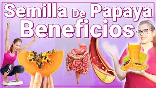 No Botes Las Semillas De Papaya  Para Qué Sirve  Beneficios Para Tu Salud Y Belleza [upl. by Bosson944]