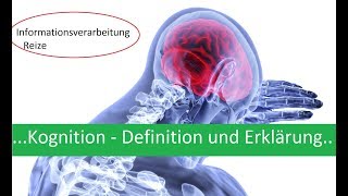 Kognition  Definition und kurze Erklärung Informationsverarbeitung was ist Kognition [upl. by Nyladnar180]