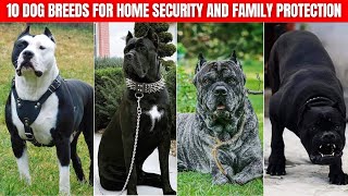 10 Dog Breeds for Home Security And Family Protection [upl. by Dupin]