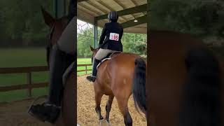 Colonial Classic 2024 WalkTrot Beginner Rider Older [upl. by Harneen529]