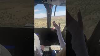 Terrified Helicopter Pilot Stops Tourist as They Attempt to Grab Rotor Brake While Flying  1425189 [upl. by Polly]