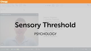 Sensory Threshold  Psychology  Chegg Tutors [upl. by Lizette]