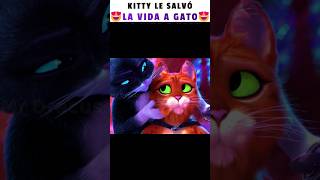 😍KITTY LE SALVÓ LA VIDA A GATO  Gato con botas 2 [upl. by Buehler]